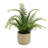 Elements 16.93" Artificial Fern Plant in Pot