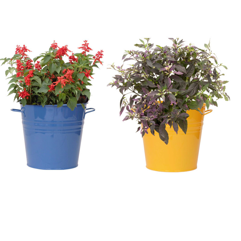Maynard Metal Pot Planter, Blue/Saffron