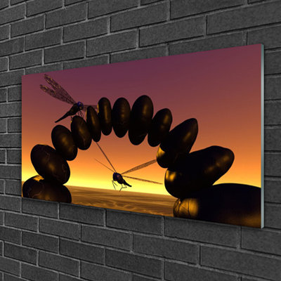 Art Dragonflies Stones - No Frame Print on Glass