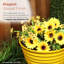Jardinière ronde intérieure / extérieure-2129897084-2086173716