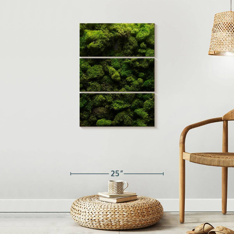 «Thick Moss», reproduction d'art sur toile, H 32 po x l 20 po x P 1,25 po