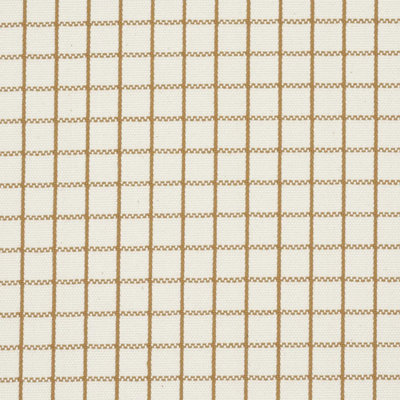 Schumacher x Mark D. Sikes Georgie Reversible Check Fabric