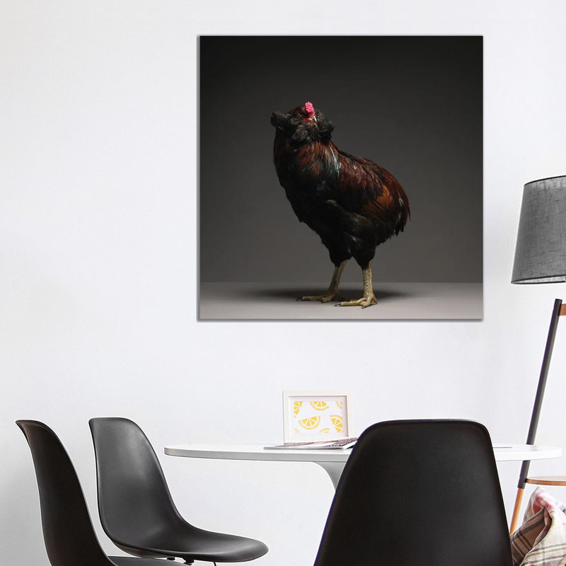 Araucana - Wrapped Canvas Print, 93.98 cm H x 93.98 cm W x 1.91 cm D