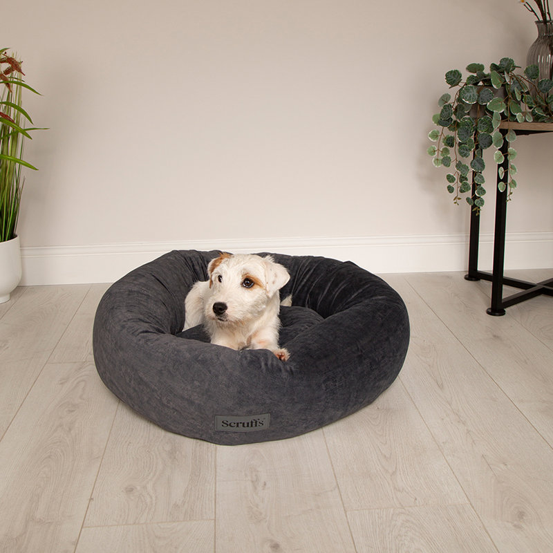 Polyester Pet Bed, Grey, Large (18-32kg)