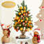 Sapin de noël vert 24 po avec 35 lumières claires pré-éclairé