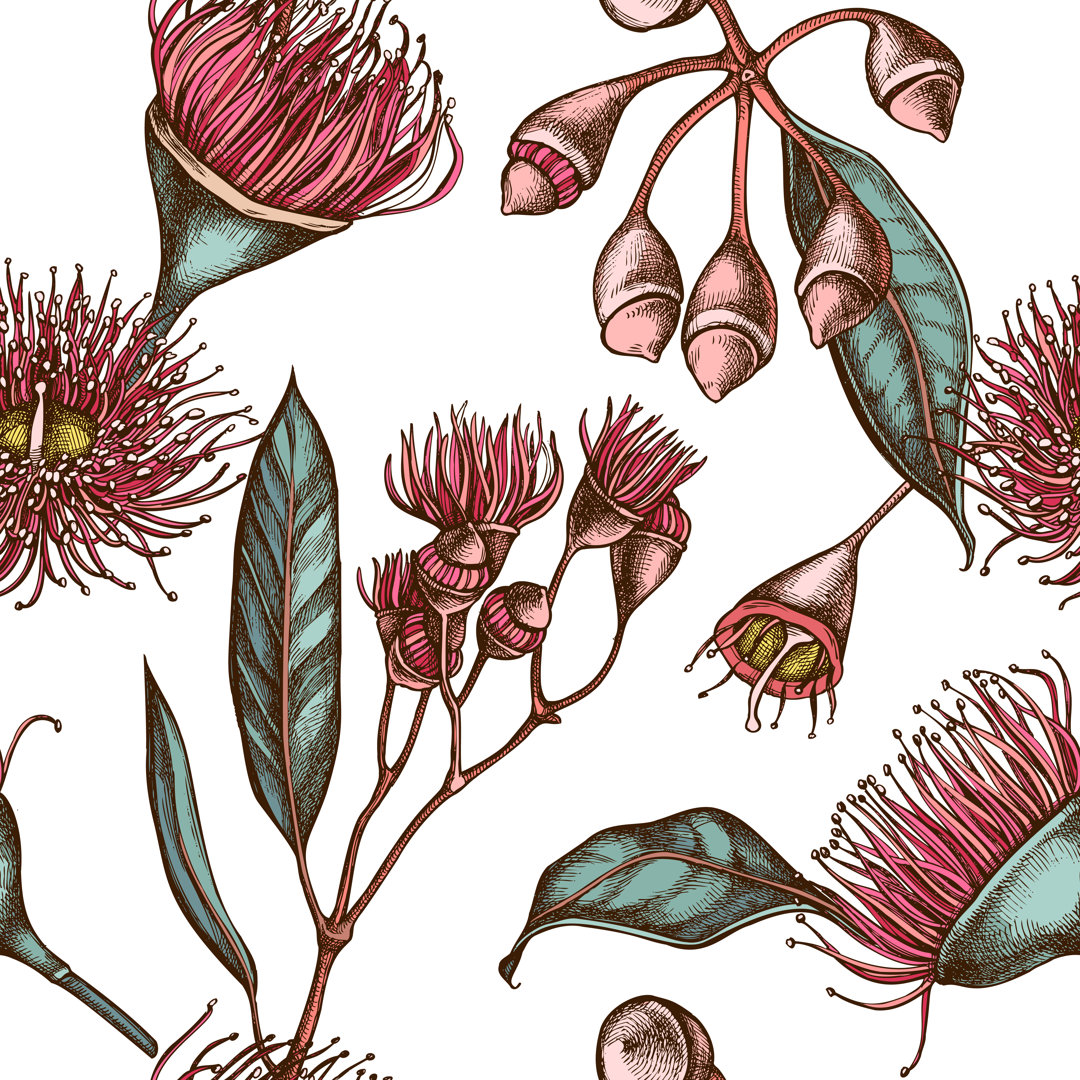 Leinwandbild Eucalyptus Flower von Alisa Pravotorova