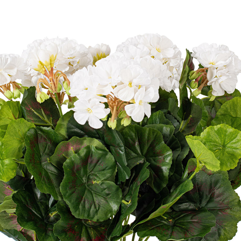Geranium Arrangement