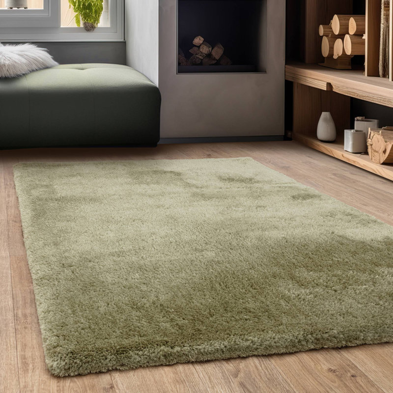 Tachiana Hand Tufted Shaggy Sage Area Rug, Rectangle 200 x 290 cm