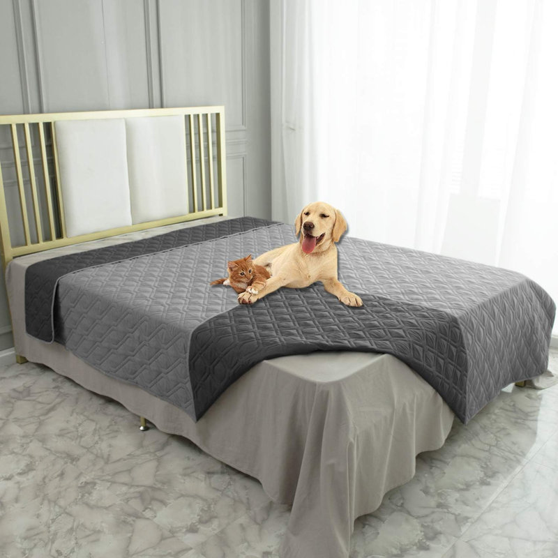 Couverture imperméable pour lit de chien pour canapé réversible, L 30 po x L 100 po, Gris