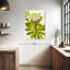 Rhododendron occidental-132992965