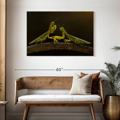 Brampt Praying Mantis Duo