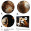 Printemps, renards mignons, regard III - art mural animal renard-819626442-819626443