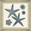 Ocean Jewel Collection 9 Painting