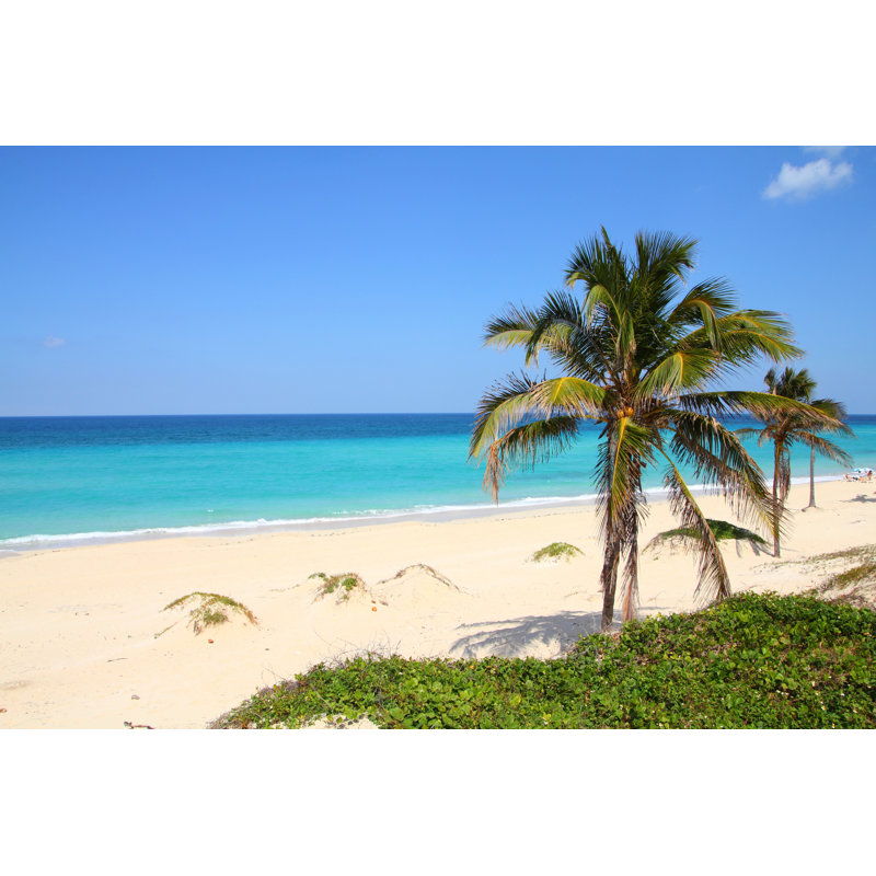 Caribbean Beach by Tupungato - Wrapped Canvas Print, 61cm H x 91cm W