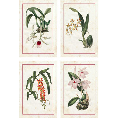 Mini Orchids 4 Piece Wrapped Canvas Wall Art