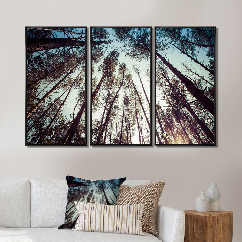 High Forest Trees and Blue Sky - ensemble d'art mural sur toile traditionnel encadré de 3, H 32 po x l 48 po x P 1 po, Noir