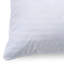 Oreiller nu en duvet d'oie-1360266739