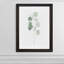 Reproduction d’art sur toile encadrée d’eucalyptus doux-343973302-343973303