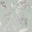 Amborella Wallpaper-50900286