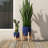 Esquer Ceramic Pot Planter