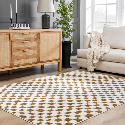 Carmin Checkered Indoor Rug