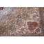 Tapis traditionnel oriental 7 x 10