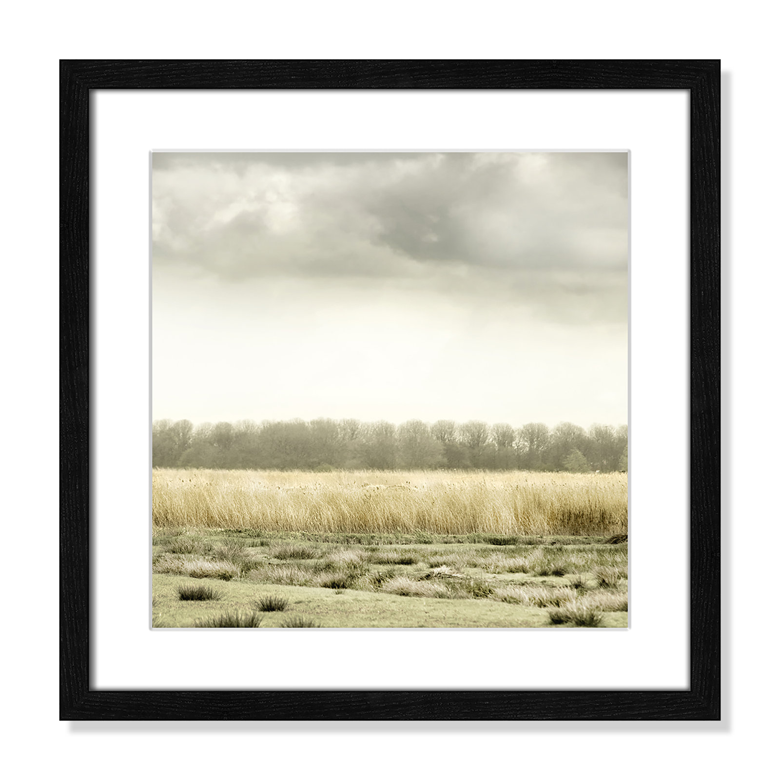 Henri "Meadowland" Print by Danita Delimont, 18.25" H x 18.25" W , Black Wood Grain