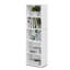 Aliesha Open Shelf Bookcase-32698196-69977018