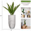 Agave artificiel en pot 45,5 po Panama