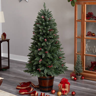 National Tree Company Artificial Buzzard Pine Christmas Assortment