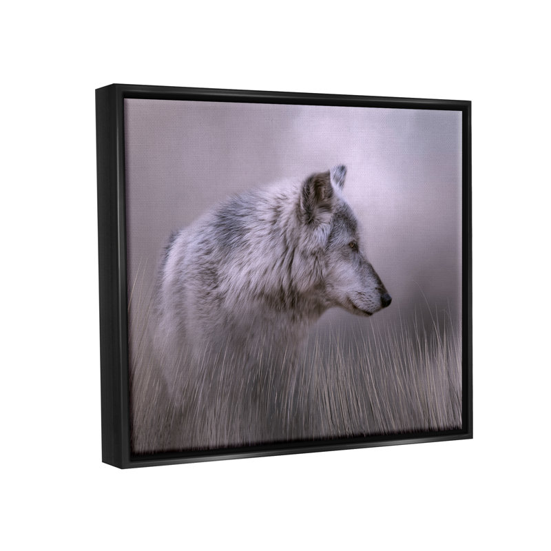 Loup gris - faune, Giclée encadrée noir minuit, H 17 po x l 21 po x P 1,7 po