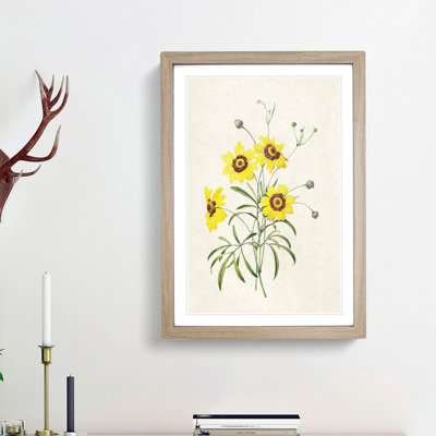 Yellow Tickseed Flowers by Pierre-Joseph Redoute - Picture Frame Painting Print