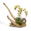 Orchids Floral Arrangement in Planter