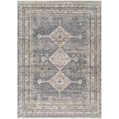 Oriental Indoor Rug