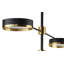 India 6 - Light Chandelier