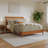 Areya Bed Kids Bed-1650418295-1650418282