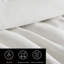 Vera Wang Chenille Waffle Stripe Beige Comforter Set-1667633420