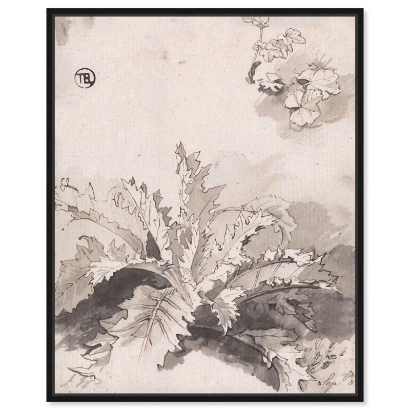Study of a Thistle Canvas Classic Sketches by Art Remedy, 46" H x 37" W, Black Floater Framed
