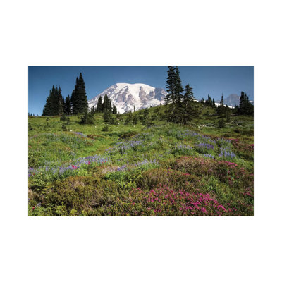 Wildflowers on a Hill, Mount Rainier National Park, Washington State, USA III 1 Piece Wrapped Canvas Wall Art