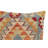 Alisha Geometric Throw Pillow