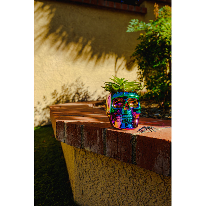 5.125'' Faux Succulent Plant in Ceramic Decorative Vase