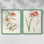 Fleurs des saisons III - reproduction encadrée de qualité supérieure - prête à être accrochée - aucun clou requis - aucun clou requis-108001741-108001745