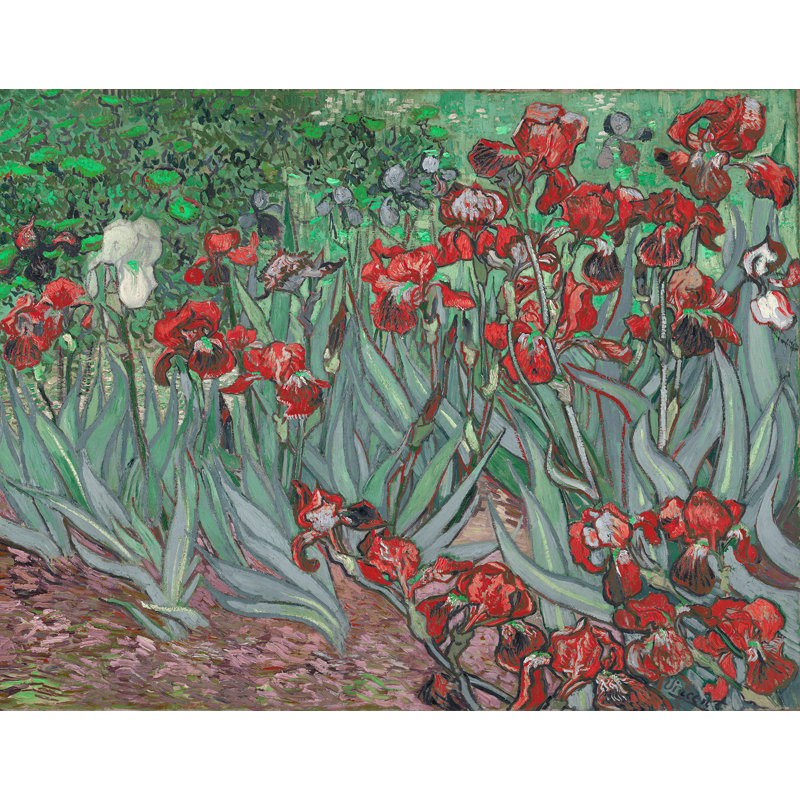 Décalcomanie murale amovible irises de van gogh, H 18 po x l 24 po, Orange / Vert