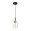 1-Light Modern Mini Pendant Light with Clear Glass Shade-2110352777