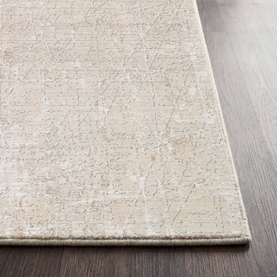 Oriental Area Rug