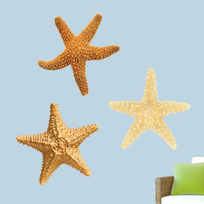 Nautical & Beach Wall Decal