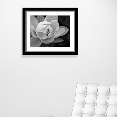 Arriya «Lily Close-Up I», impression encadrée