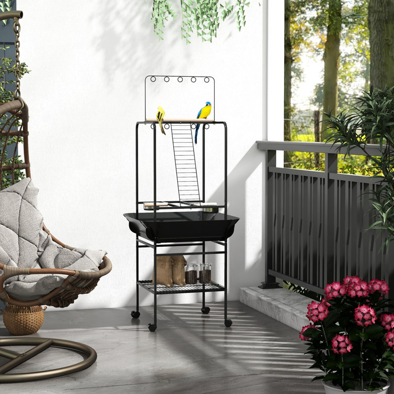 Petit support pour perroquet sur roulettes, gris foncé - perchoirs pour se détendre, bols en acier inoxydable, plateau coulissant, support à oiseaux, support pour bien-être
