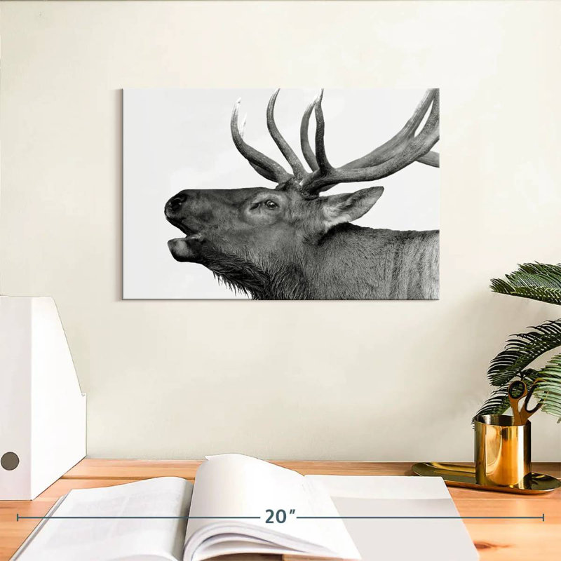 Brampt Deer Call, H 8 po x l 12 po