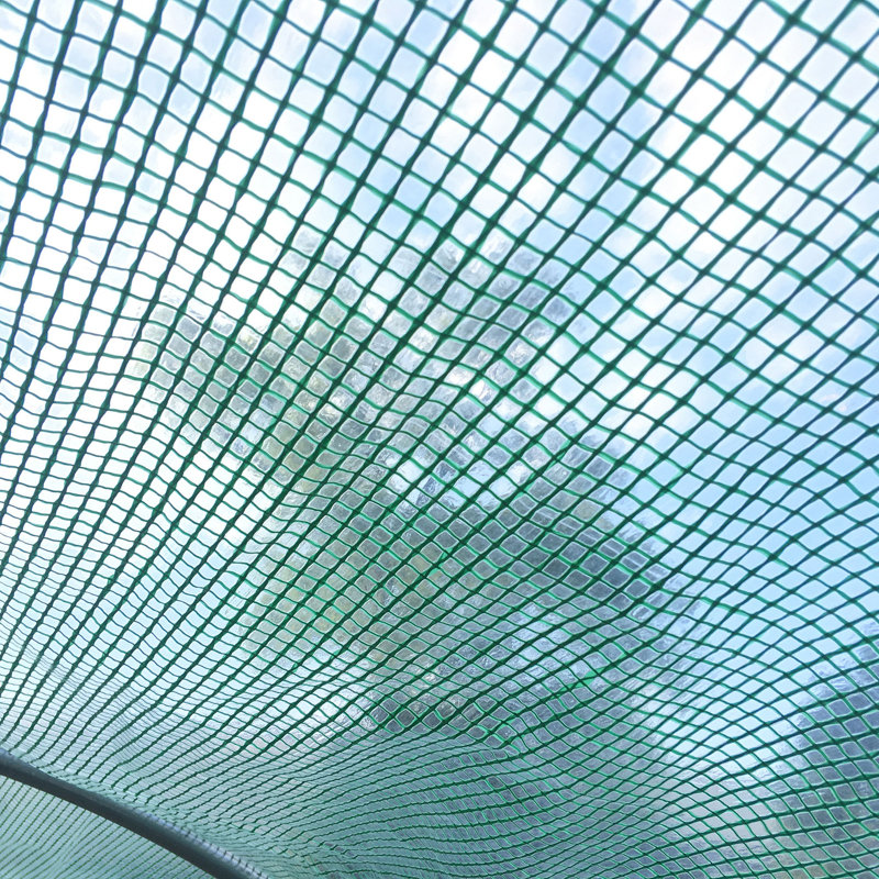 Velez Greenhouse, 3m W x 6m D